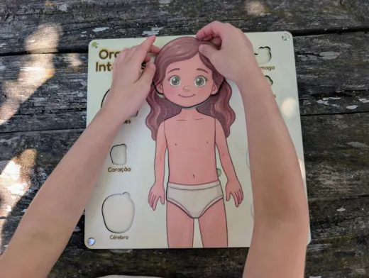 Puzzle de madeira dos órgãos internos, versão menina